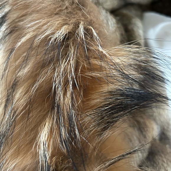 Rudsak Parka - Picture 8 of 12